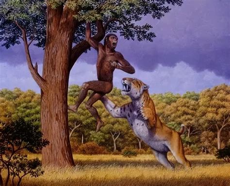 全世界最早的人类，南方古人猿人类光辉历史的转折点_小狼观天下