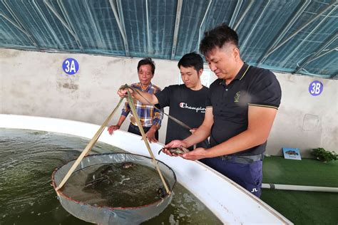 湛江人在新疆成功实现海水养殖-焦点要闻-佛山新闻网