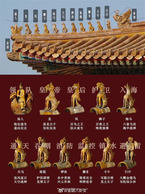 ·锡 的图像结果