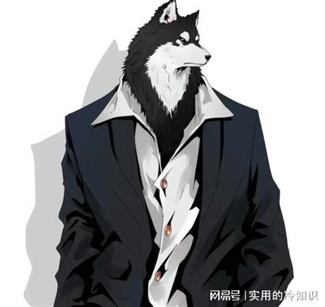 西装暴徒图片