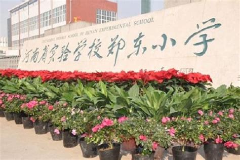 郑州排名前十私立小学学是最好的_郑州私立小学校一览表