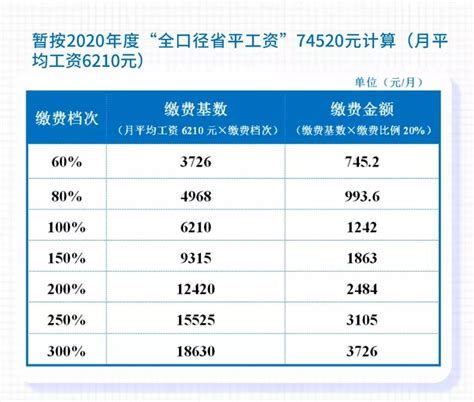上海社保最低基数个人交多少钱，交15年能领多少养老金？_缴费_调整_比例