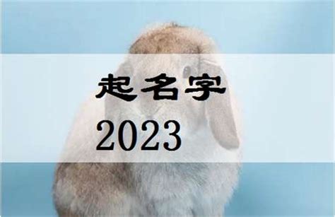 2023年3月出生兔宝宝起名名字大全 - 太极鱼起名算命网