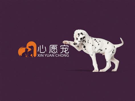 【高端宠物用品logo设计】心愿宠宠物用品商标设计_野一典品牌设计-站酷ZCOOL