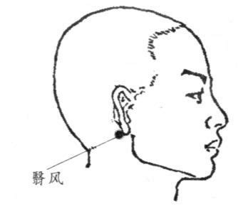 翳风穴位图图片
