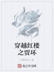 穿越红楼之贾环(在惠的男人)最新章节免费在线阅读-起点中文网官方正版