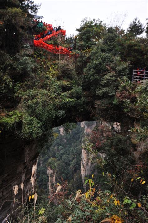 与张家界诚辉自由行一起相约张家界三日游-张家界旅游攻略-游记-去哪儿攻略