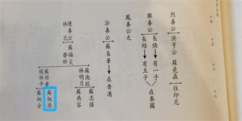 苏氏宗族族长：苏炳添确为苏轼第29代孙，他去年曾回乡祭祖