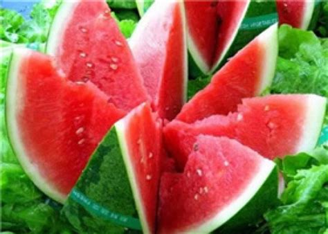 全国西瓜品种介绍，带你清凉渡夏 | 国际果蔬报道