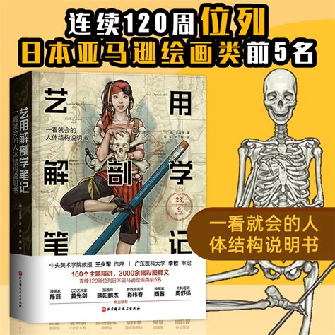 【新华书店】艺用解刨学笔记艺用人体解剖结构艺用解剖学笔记艺术绘画人体结构素描教程石政贤韩国李哲推荐图解人体结构书籍_虎窝淘