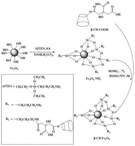 一种硼酸催化羧基化β-环糊精接枝四氧化三铁及其制备方法