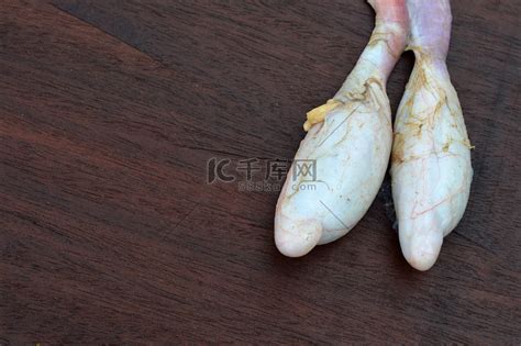 牛睾丸图片