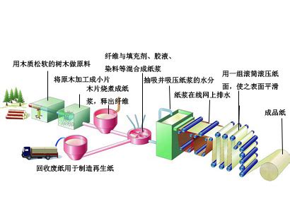 木浆造纸工业_工艺流程_换热器产品与系统介绍-普瑞普勒（北京）能源技术有限公司