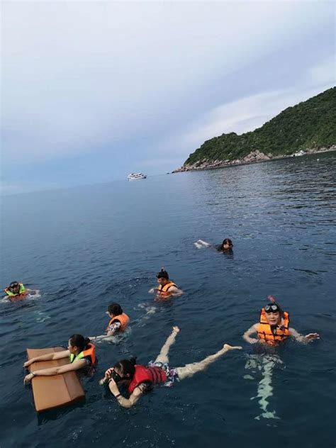 夏日嬷嬷茶图片