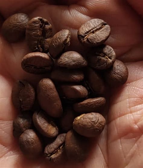 中国咖啡之乡云南_中国咖啡豆产地品牌推荐_云南国产咖啡豆价格 中国咖啡网 05月04日更新