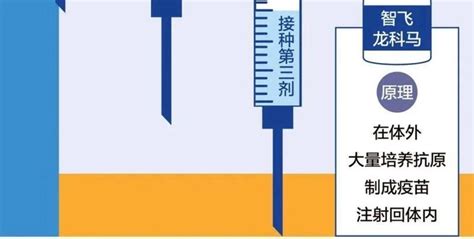 中国首个mRNA疫苗将至？3期临床接近尾声，有望作为加强针上市 | 药时代