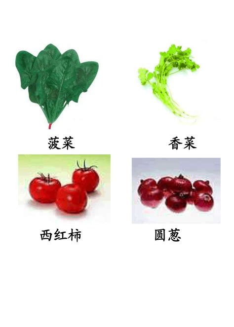 蔬菜图片大全(附名称)_word文档在线阅读与下载_文档网