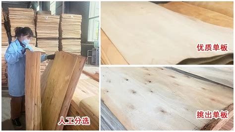 团团圆圆板材教您如何选购定制衣柜-中国木业网