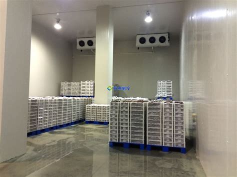 一万平米生鲜物流冷库的造价费用多少钱_上海冷库安装公司【开冉冷库】