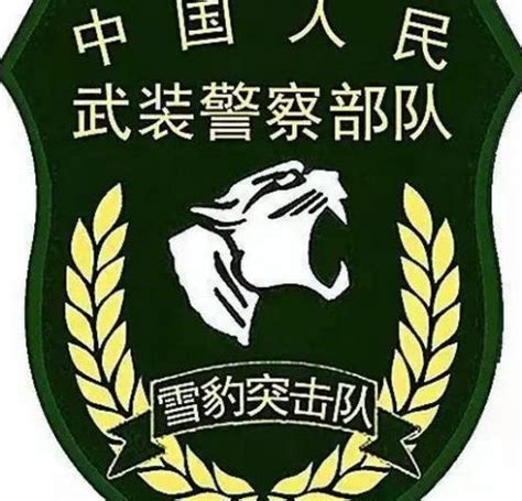 中国武警雪豹突击队与特种部队有何区别？-