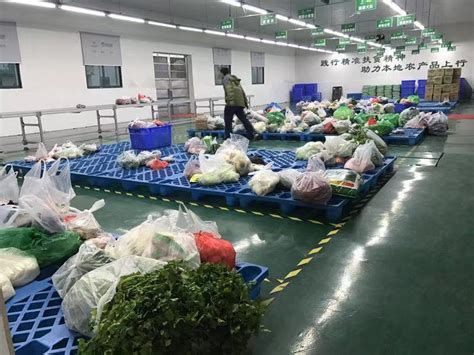 2022年中国蔬菜市场供需现状及进出口贸易分析：蔬菜产量达79100万吨，同比增长1.96%[图]_智研咨询