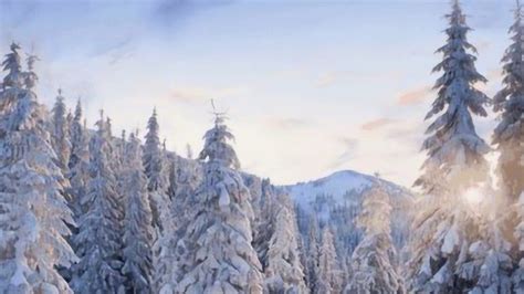 冬天雾凇雪景风光高清图片下载-正版图片501995175-摄图网