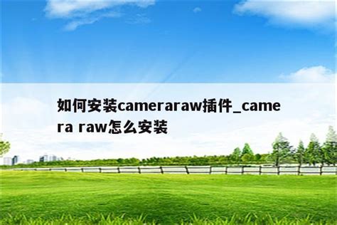 camera raw怎么安装 - 业百科