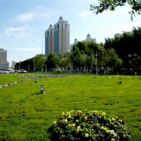 哈尔滨排名前十的大学-排行榜123网