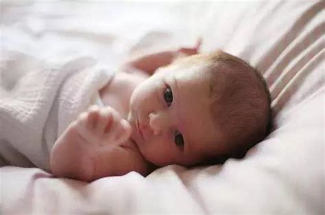 宁波2018年户籍人口出生预报公布！预计今年出生的宝宝比去年少0.9万人
