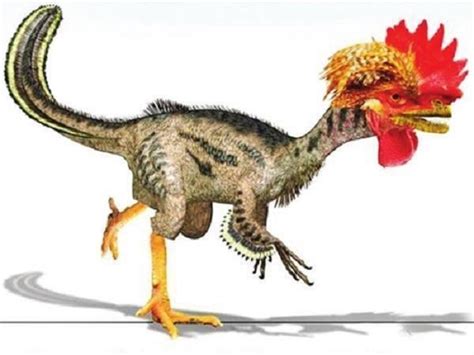 最大的恐龙是哪种恐龙？_百科知识_恐龙网，恐龙大百科大全，恐龙科普科学百科