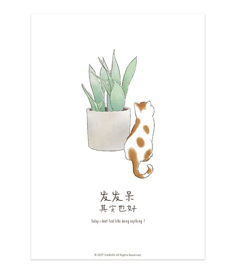 懒喵图片