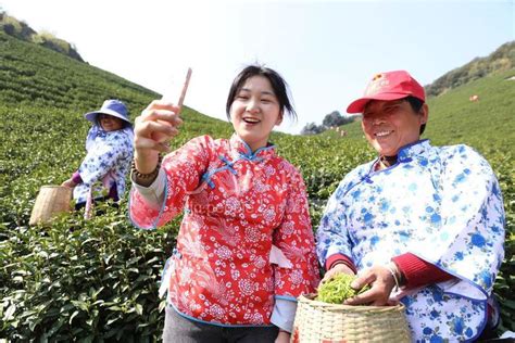 浙江湖州：直播助农促增收-人民图片网