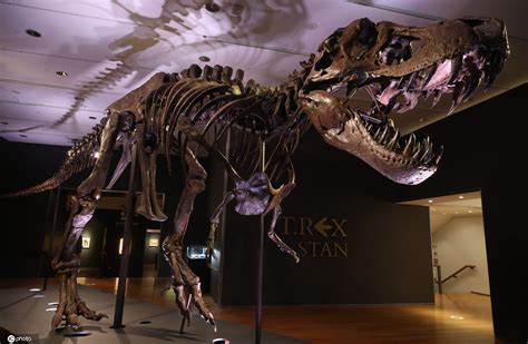 美国发现了一只活恐龙是真的吗