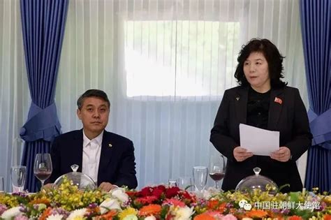 蔡武部长会见朝鲜新任驻华大使池在龙