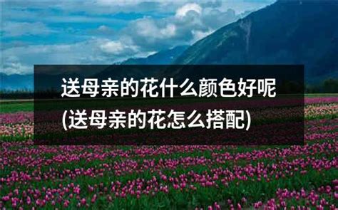 花谢花飞花满天灵姑子真实身份揭晓 花满天与灵姑子关系介绍_看电视剧_海峡网