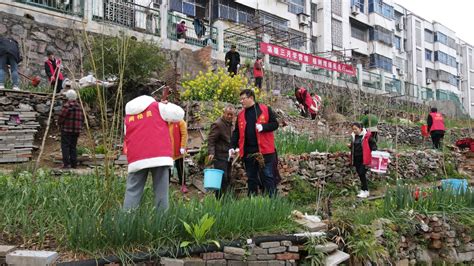 淅川县：为春天充“植” 为“人居环境”添彩-大河网