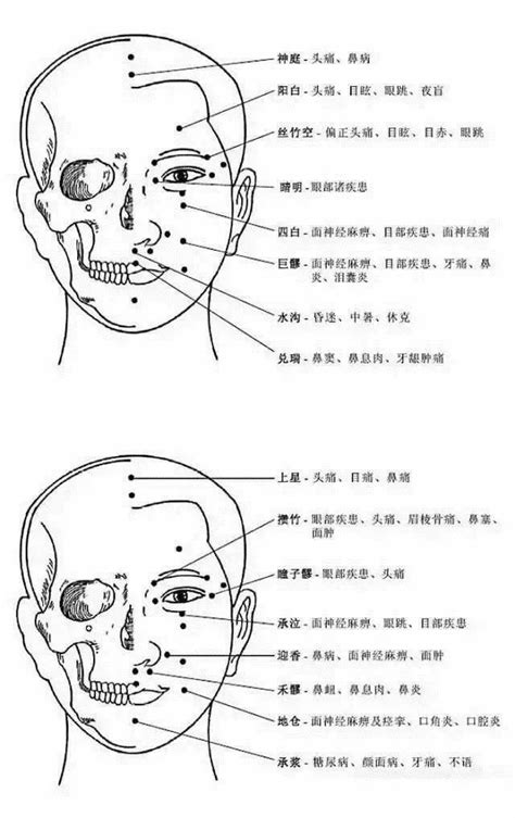 额头上的经络图图片