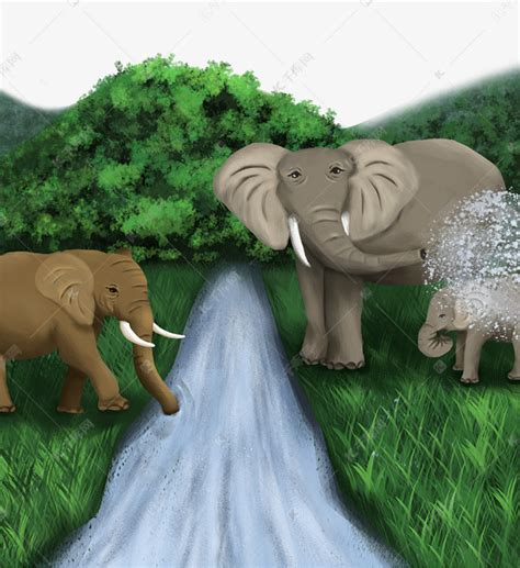 世界大象日大象玩水素材图片免费下载-千库网