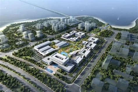 广东湛江大项目启动！投资总额达100亿美元！位于东海岛