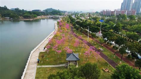 增城建成区绿化覆盖率近50%，高于广州全市平均水平