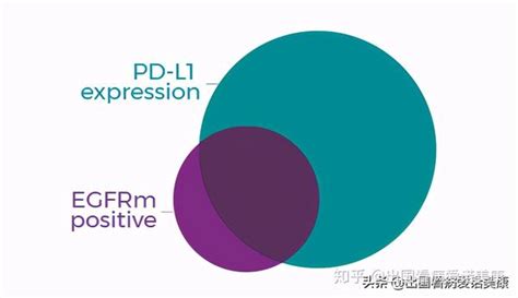 血浆EGFRm清除能否作为肺癌EGFR-TKI疗效评价终点指标？