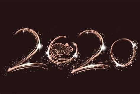 2020年度大事记，2020年到底是个什么年？|洛桑|大事记|农历_新浪新闻