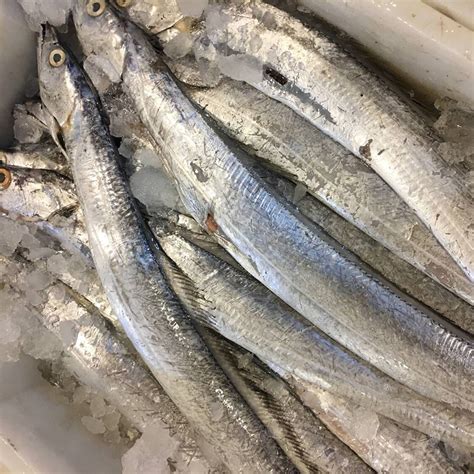 2018进口冷冻带鱼数据！舟山带鱼那么好吃，为什么还要进口？ - 知乎