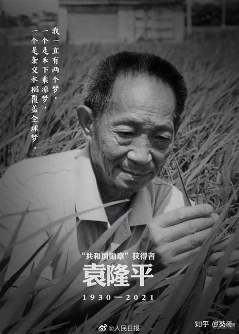 “杂交水稻之父”袁隆平逝世