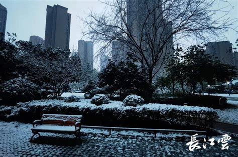北京今天下雪啦，一到下雪天，就想出去拍雪景。冬天有雪才完整呀|雪景|下雪天|日坛公园_新浪新闻