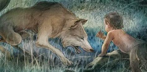 狼为什么会养人类婴儿（为什么狼遇到人类婴儿会将其养大）-幼儿百科-魔术铺