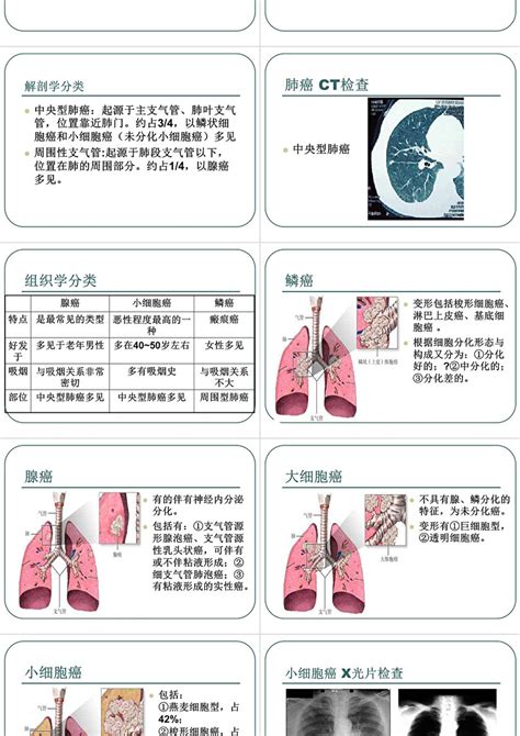 肺癌到底是什么？