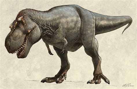 亿万年前的恐龙是如何被复原的——人民政协网