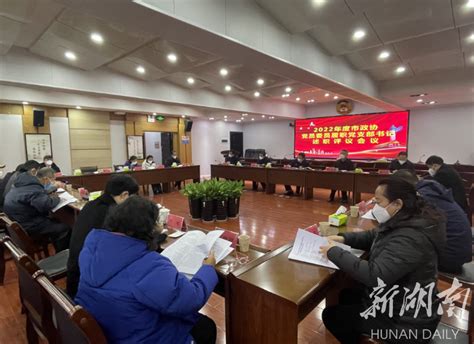 2022年度市政协党员委员履职党支部书记述职评议会召开 - 张家界 - 新湖南