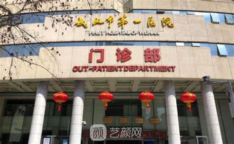 武汉两所公立三甲医院同日动工 预计2021年投入使用_手机新浪网